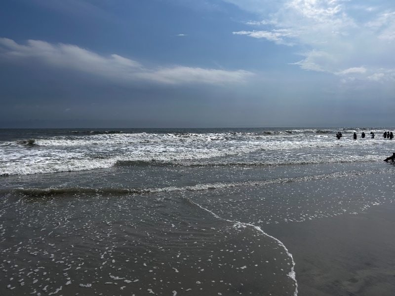 Building Photo - 3501 Pacific Ave