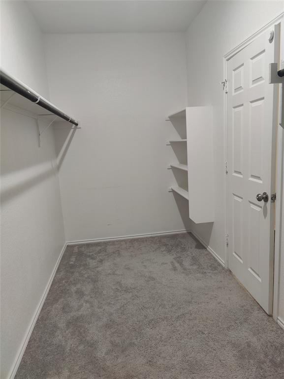 Building Photo - 116 Snowy Plover Ln