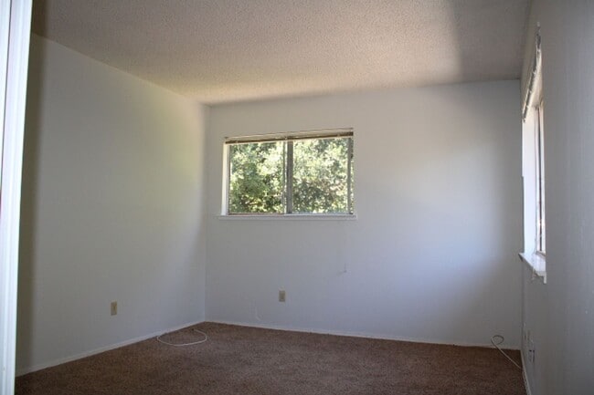 Building Photo - 1872 Tesoro Ct