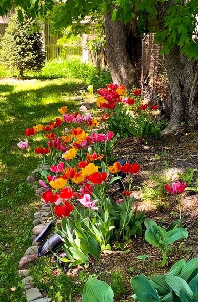 Building Photo - 155 Swart St