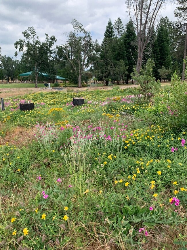 Building Photo - Breathtaking Paradise Retreat: Modern Home with Stunning Canyon Views and Next to Billie Park!