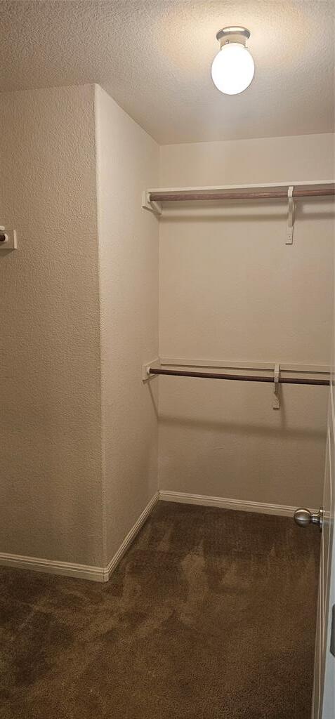 Building Photo - 5501 Bradford Pear Ln