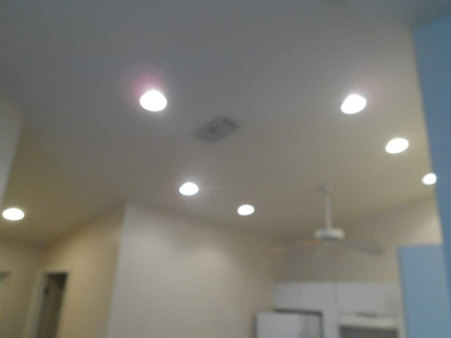 Building Photo - Coming Soon, 4/27 - Freshly Painted 2/2/1 Duplex