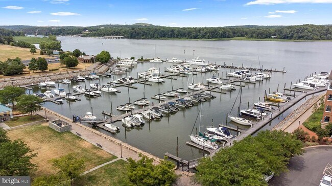 Building Photo - 485 Harbor Side St