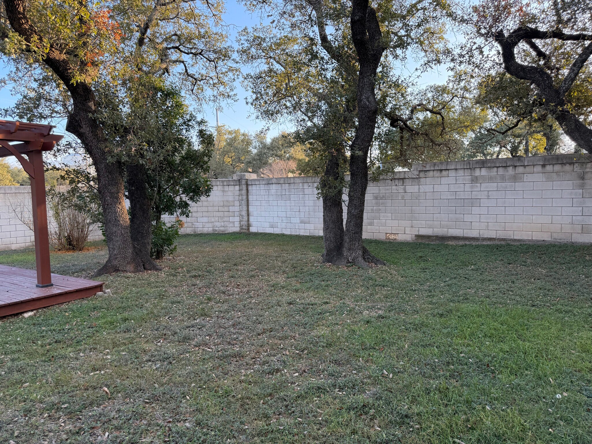 Back yard - 3209 Pepper Grass Trail