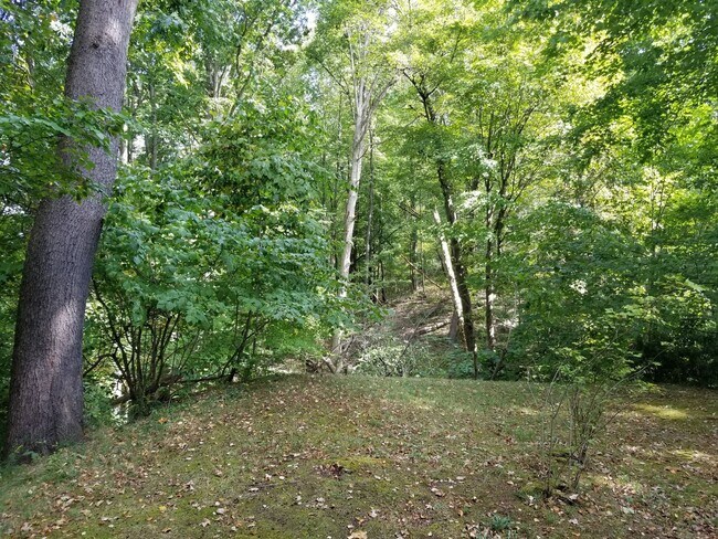 Building Photo - Chagrin Falls Condo for rent