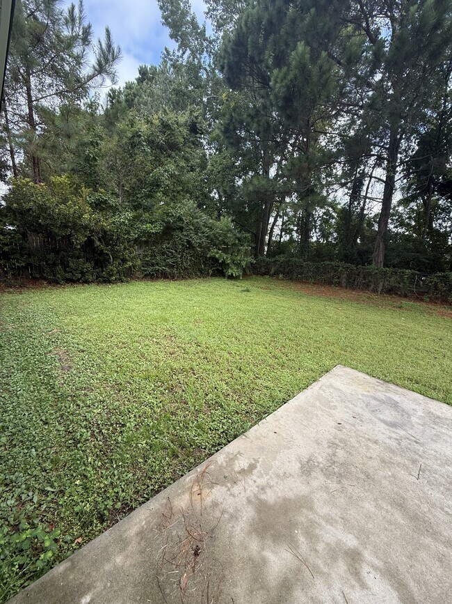Building Photo - 4 Applemint Ln