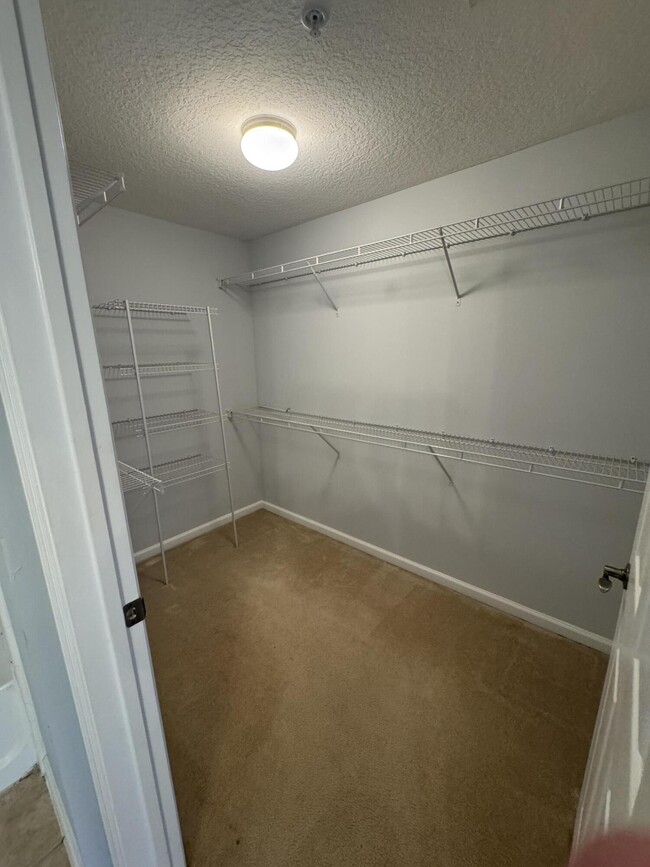 Building Photo - 224 Murcia Dr
