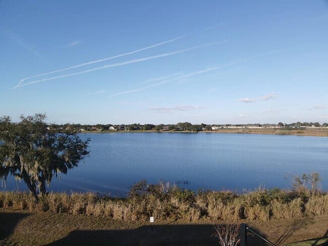 Building Photo - 6432 DOMIZIO Dr