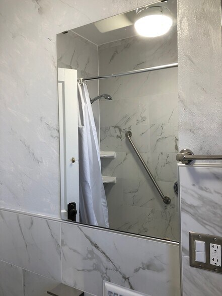 Bath mirror - 1308A Tower Grove Ave