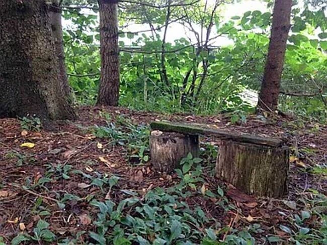 Building Photo - Cozy 3-Bedroom Home with Private Yard in Livingston Manor for November 1st!