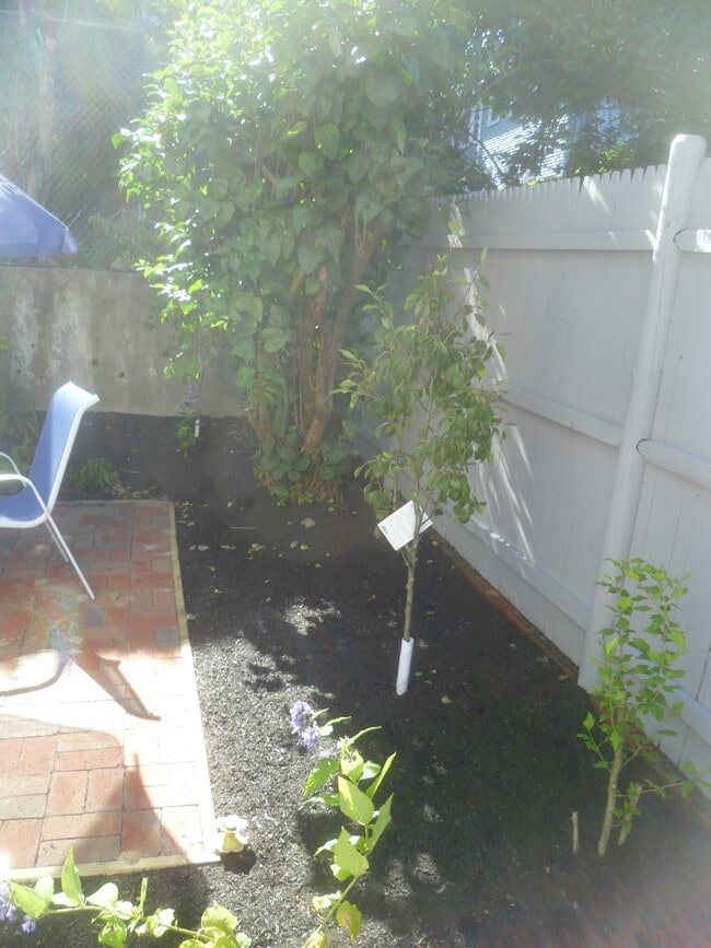 Building Photo - 57 Bostonia Ave