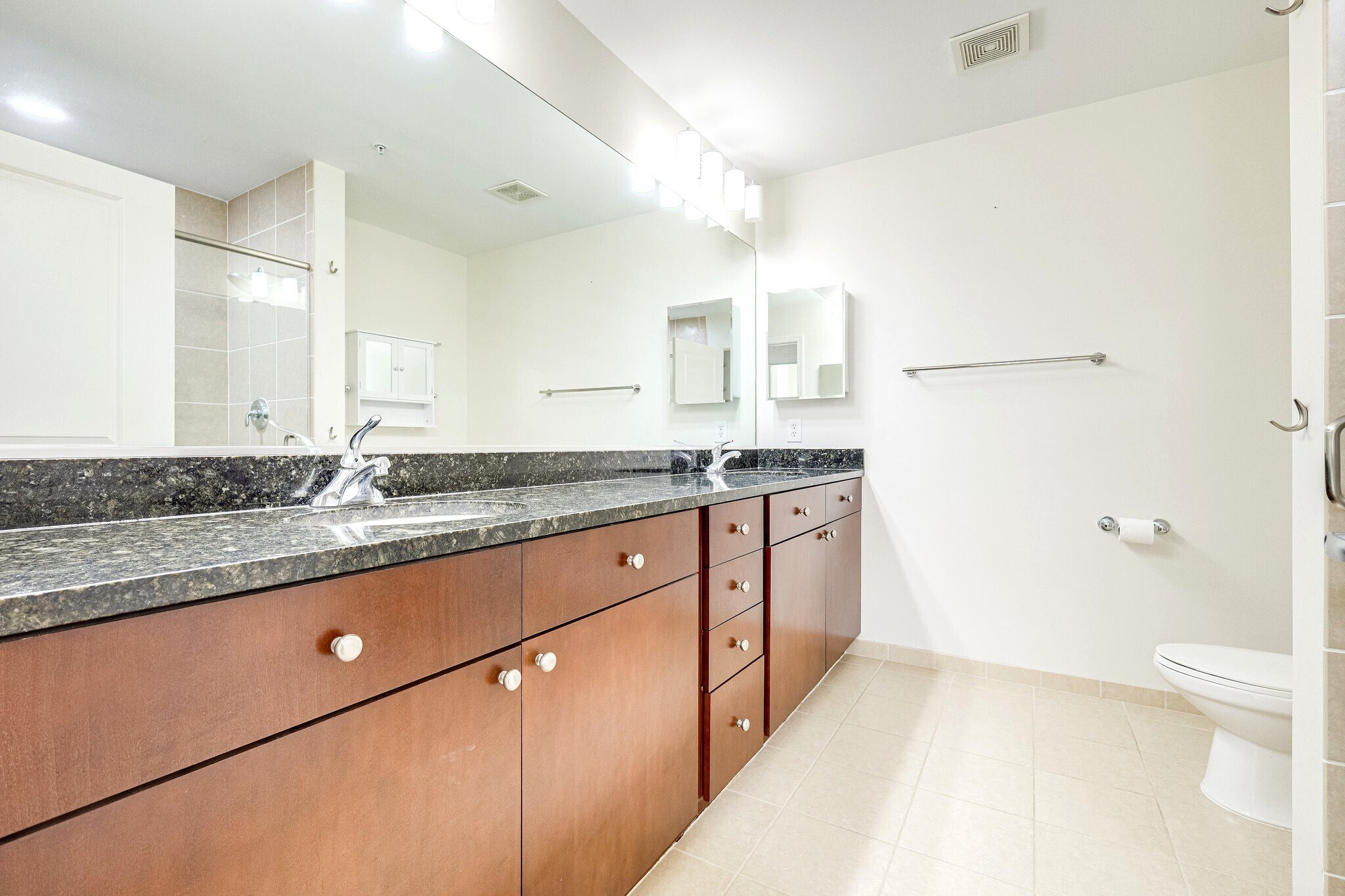 Master Bathroom - 155 POTOMAC Psge