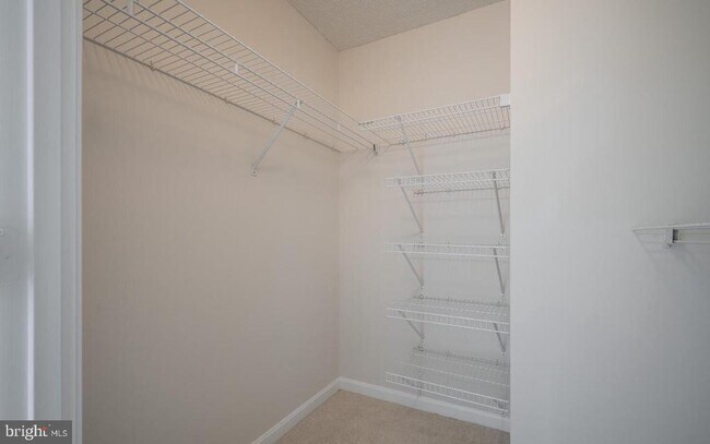 Building Photo - 2151 Jamieson Ave