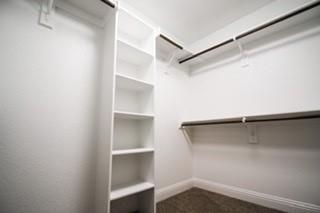 Building Photo - 813 Jameson St