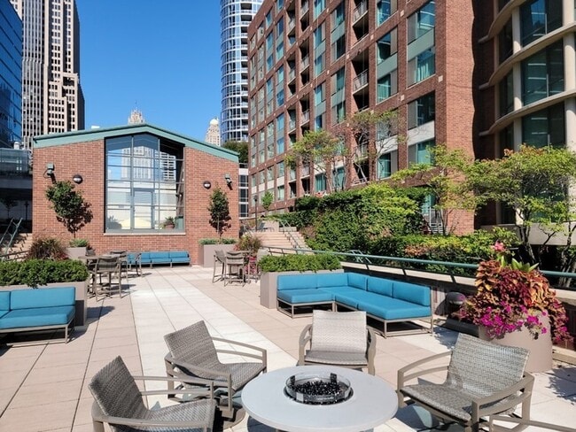 Building Photo - 480 N McClurg Ct
