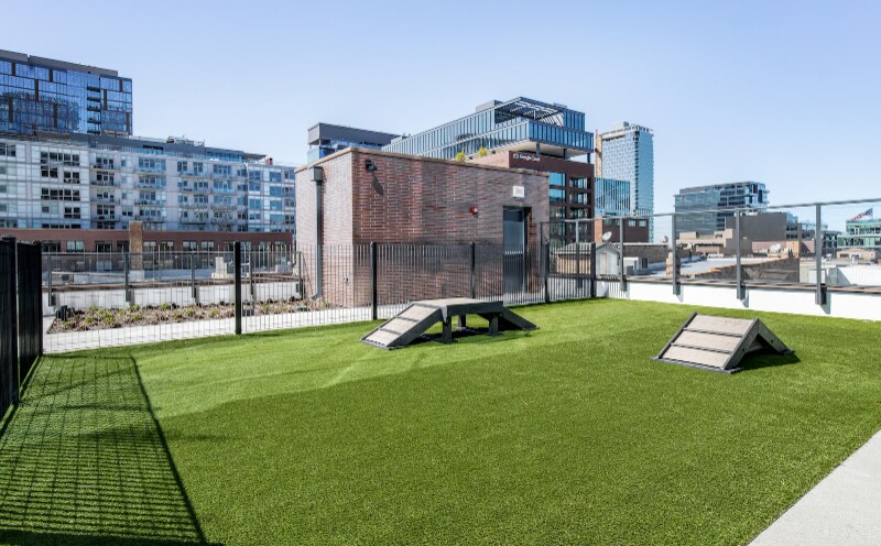 Building Photo - 171 N Morgan St