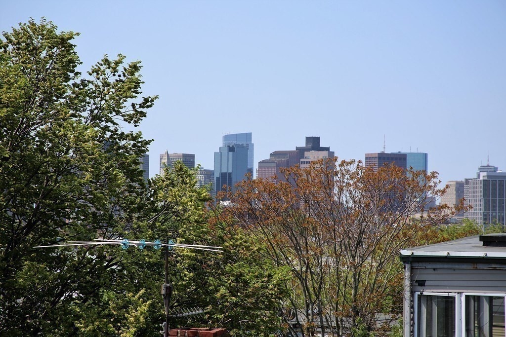 Building Photo - 229 Princeton St