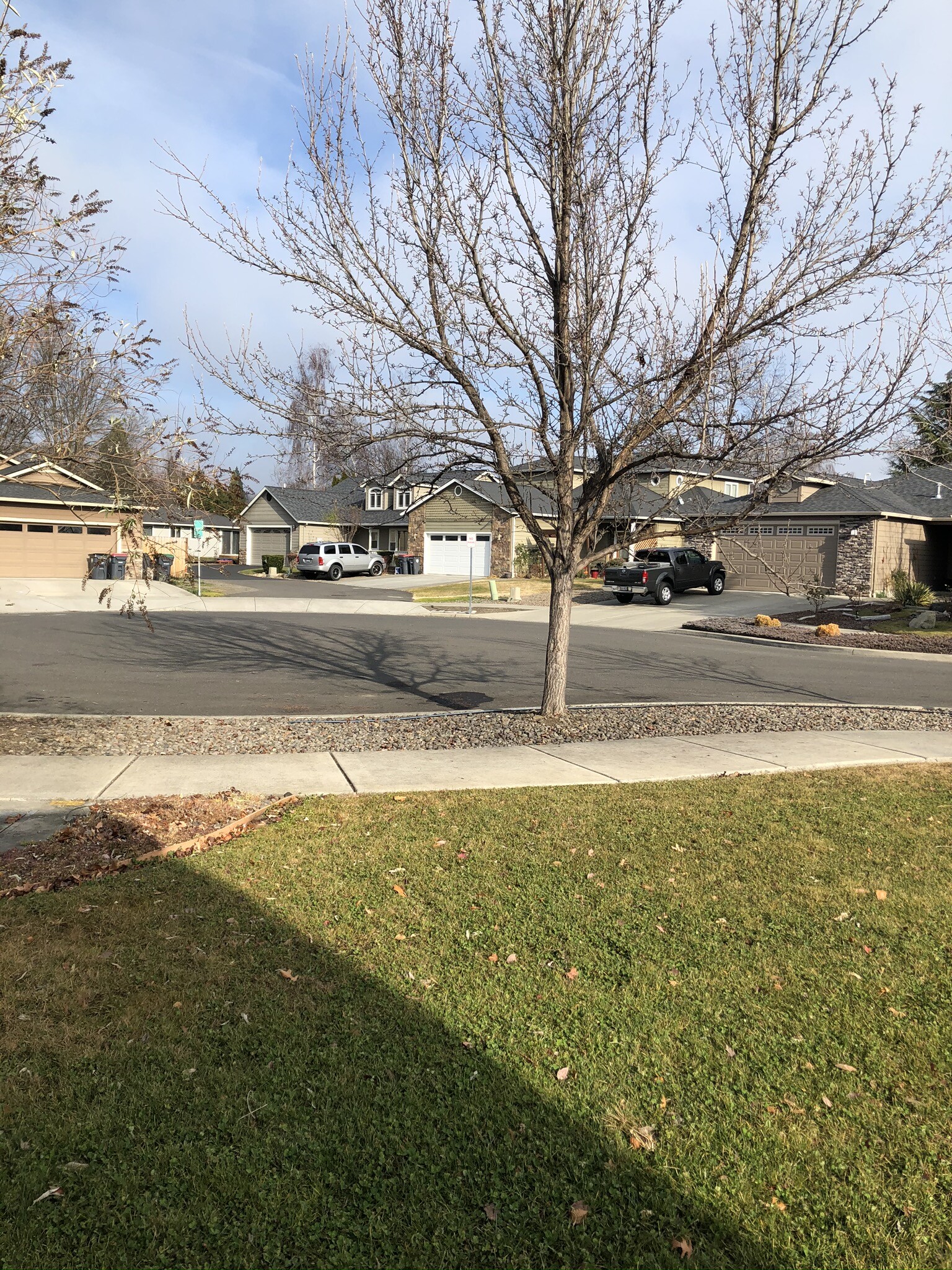 Building Photo - 818 Solano Cir