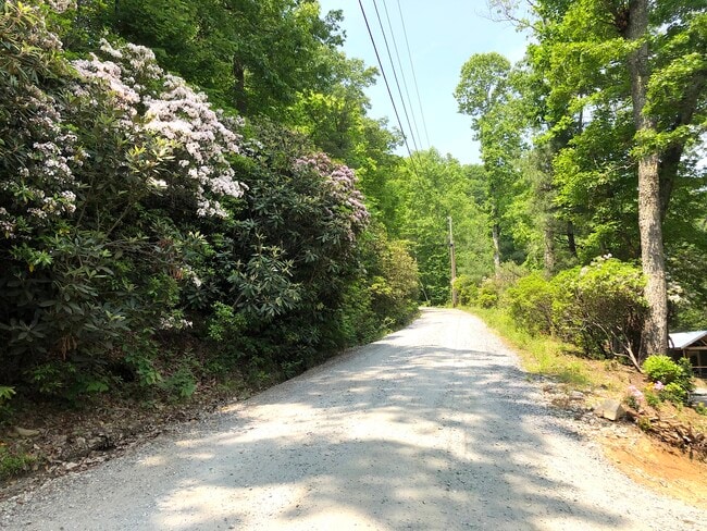 Building Photo - 1566 Old Mill Rd