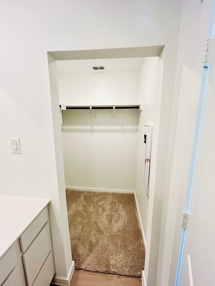 Master Suite Walk-In Closet - 806 Sandhill Crane Ln