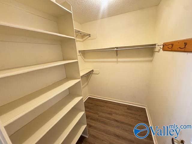 Building Photo - 2646 Moonseed Trail NW