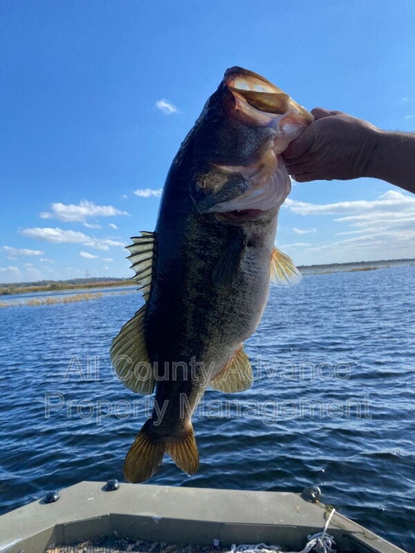 Building Photo - 360 1st Ave N