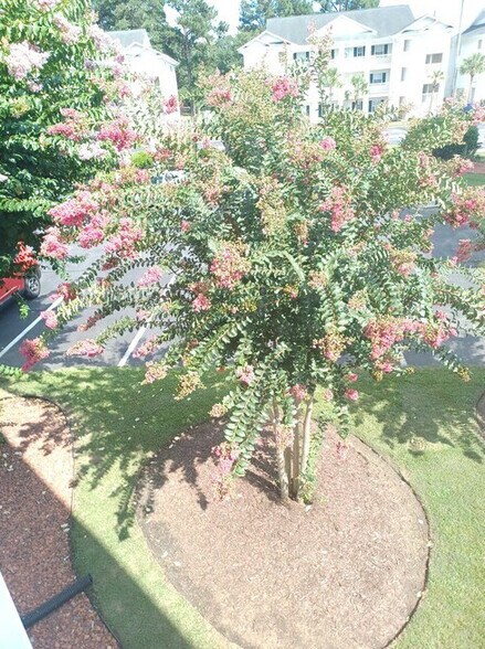 Building Photo - 665 Tupelo Ln