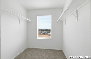 Building Photo - 10735 Criterion