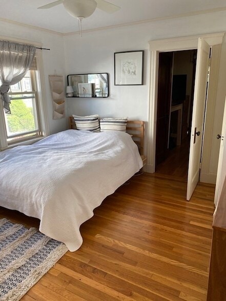 Building Photo - 44 Webster St