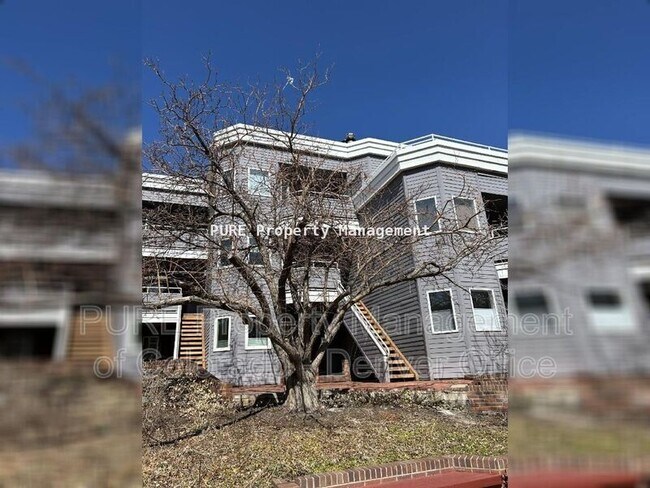 Primary Photo - 1529 Spruce St