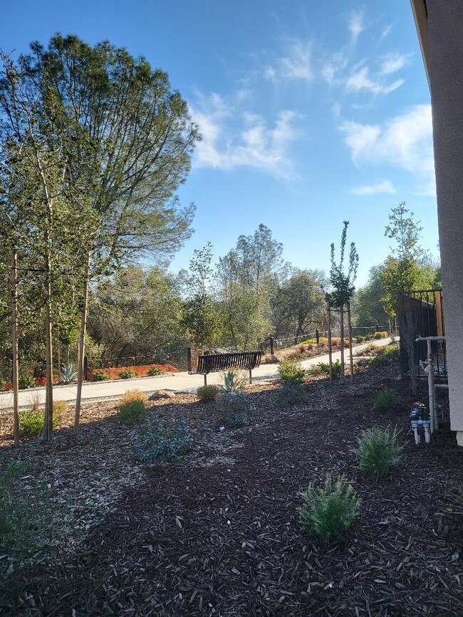 Building Photo - 4902 Bufflehead Ln