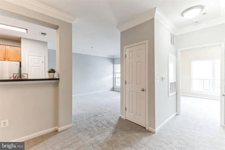 Living Room/Kitchen - 4852 Eisenhower Ave