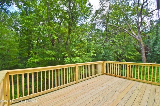 Building Photo - 557 Marco Way