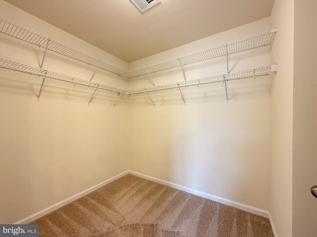 Building Photo - 3507 Sea Grass Ln