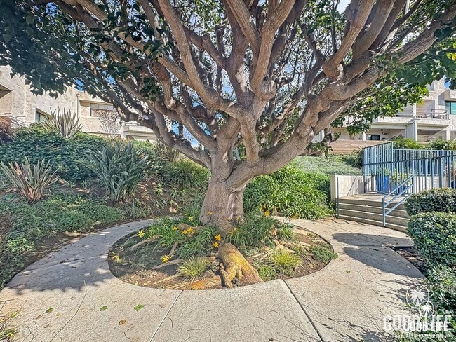 Building Photo - Modern Coastal Property In Gated Encinitas Community | 3BD/2.5BA w/Garage