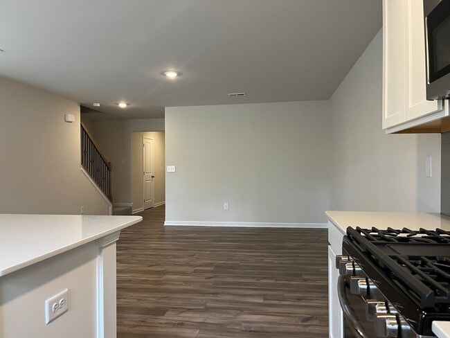 Building Photo - Brand New 3/3 Townhome Available Now!