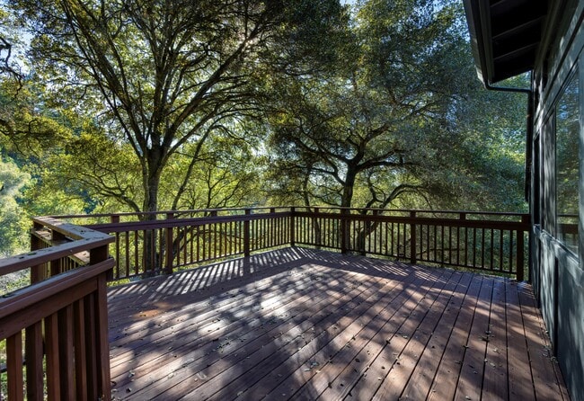 Building Photo - 250 Homestead Trl