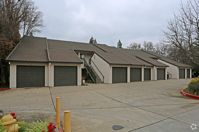 Primary Photo - Cardinal Oaks