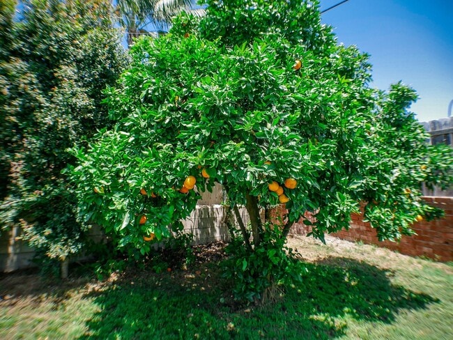 Building Photo - OPEN HOUSE, NOV. 24th at 2 pm - Downtown/Harbor Views!