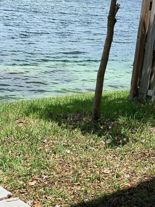 Building Photo - 20564 NE 5th Pl