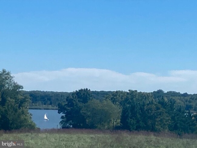 Building Photo - 137 Elk Ranch Park Rd
