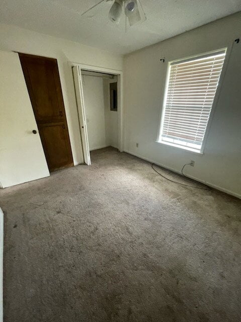 Building Photo - 2 BED 1 BATH APARTMENT