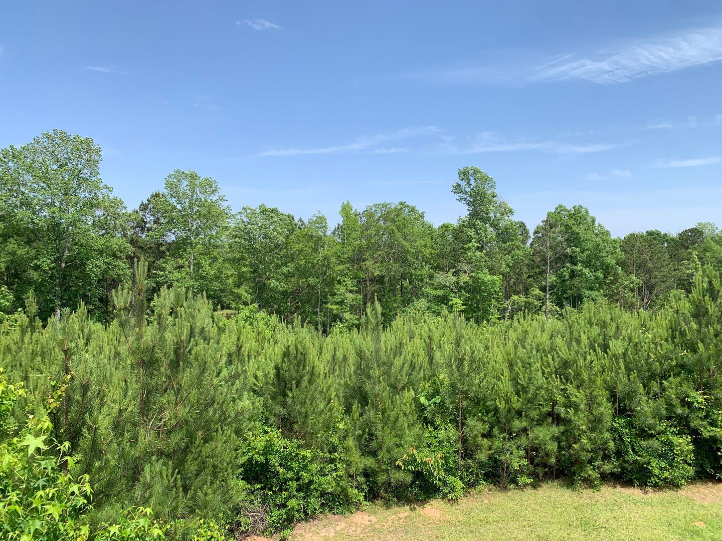 Building Photo - Unique Home and Land in Camp Hill