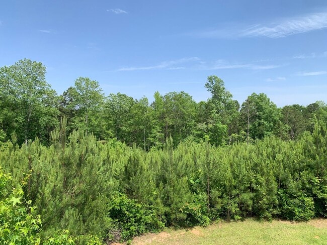 Building Photo - Unique Home and Land in Camp Hill