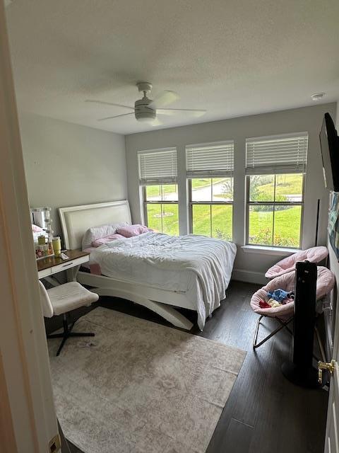 Building Photo - 402 San Donato Dr