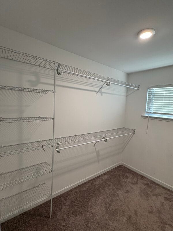 Building Photo - 230 Wading Bird Loop