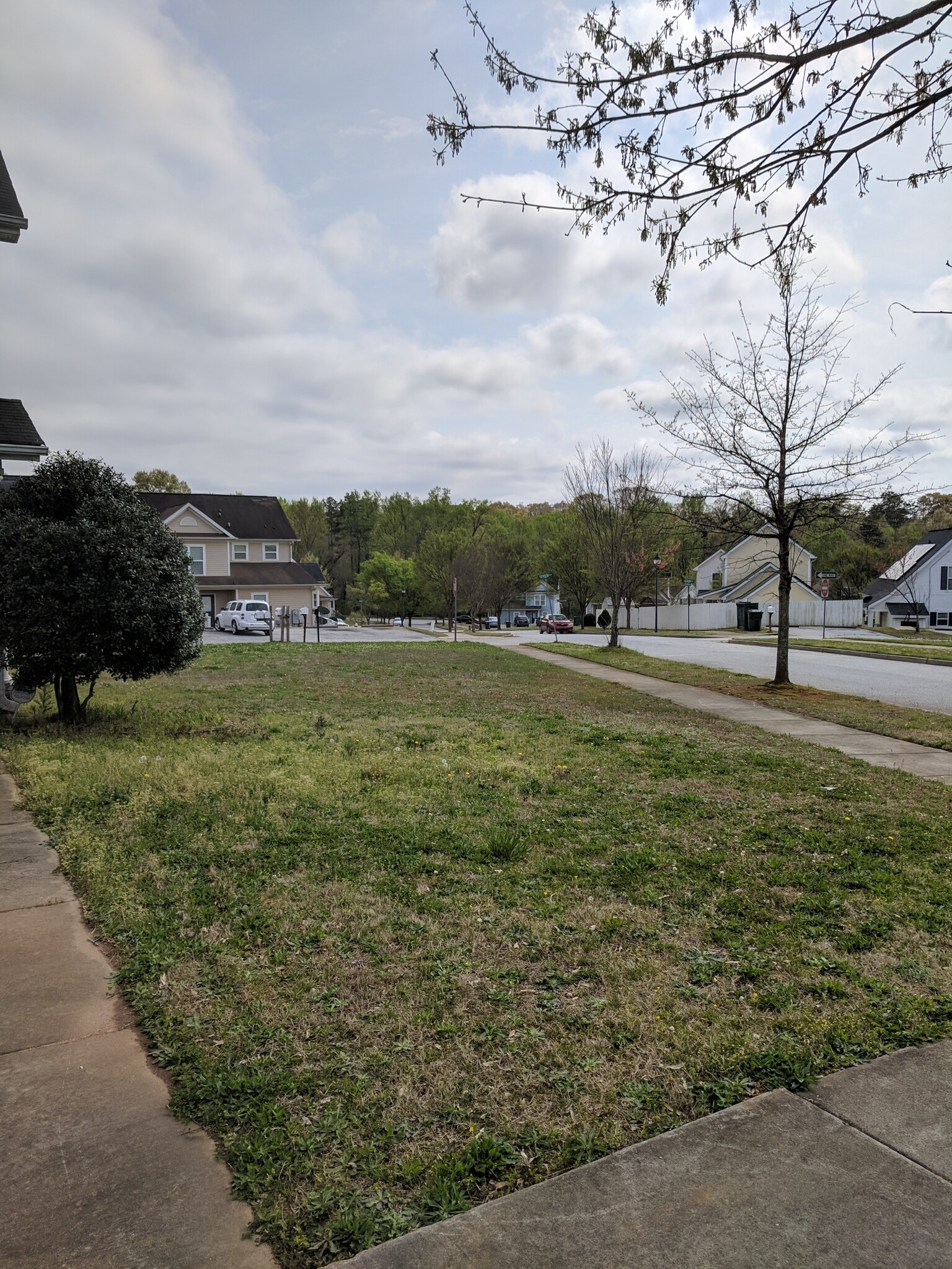 Side yard - 202 Alde St