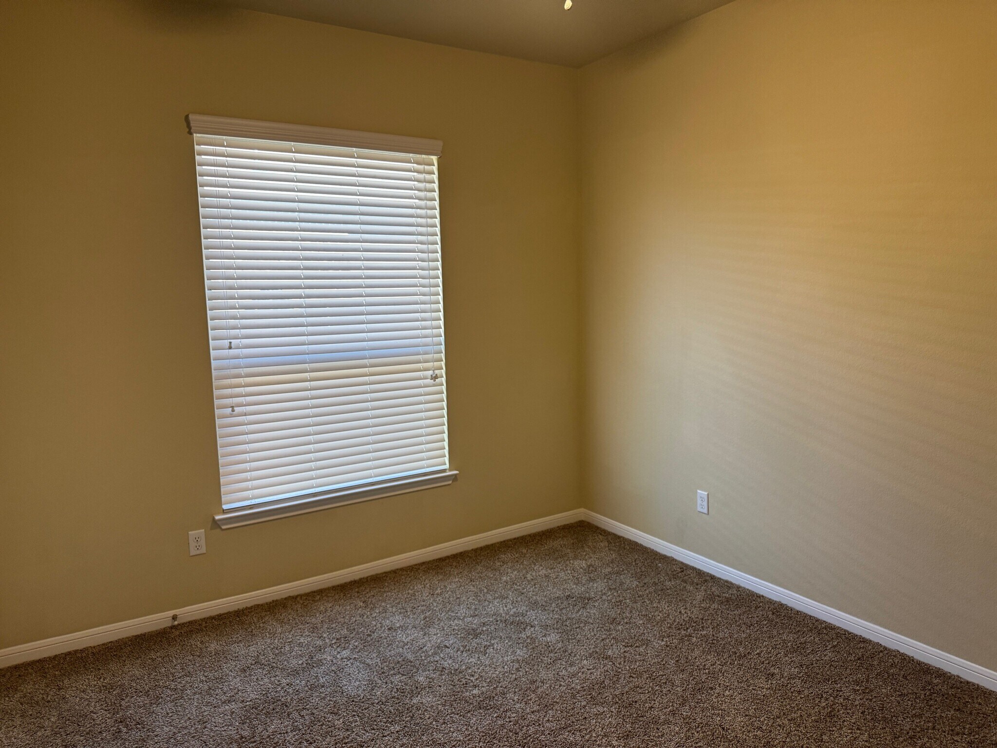 Building Photo - 1107 Rhodactis Dr