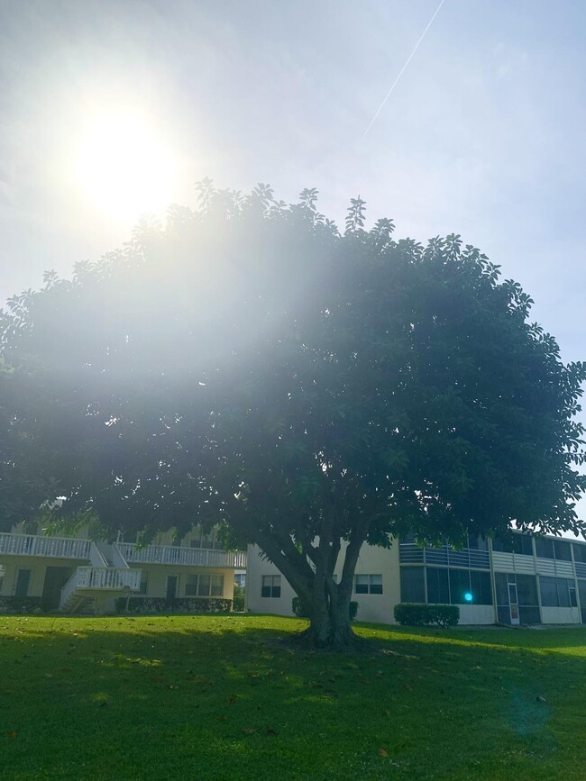 Building Photo - 315 Camden M